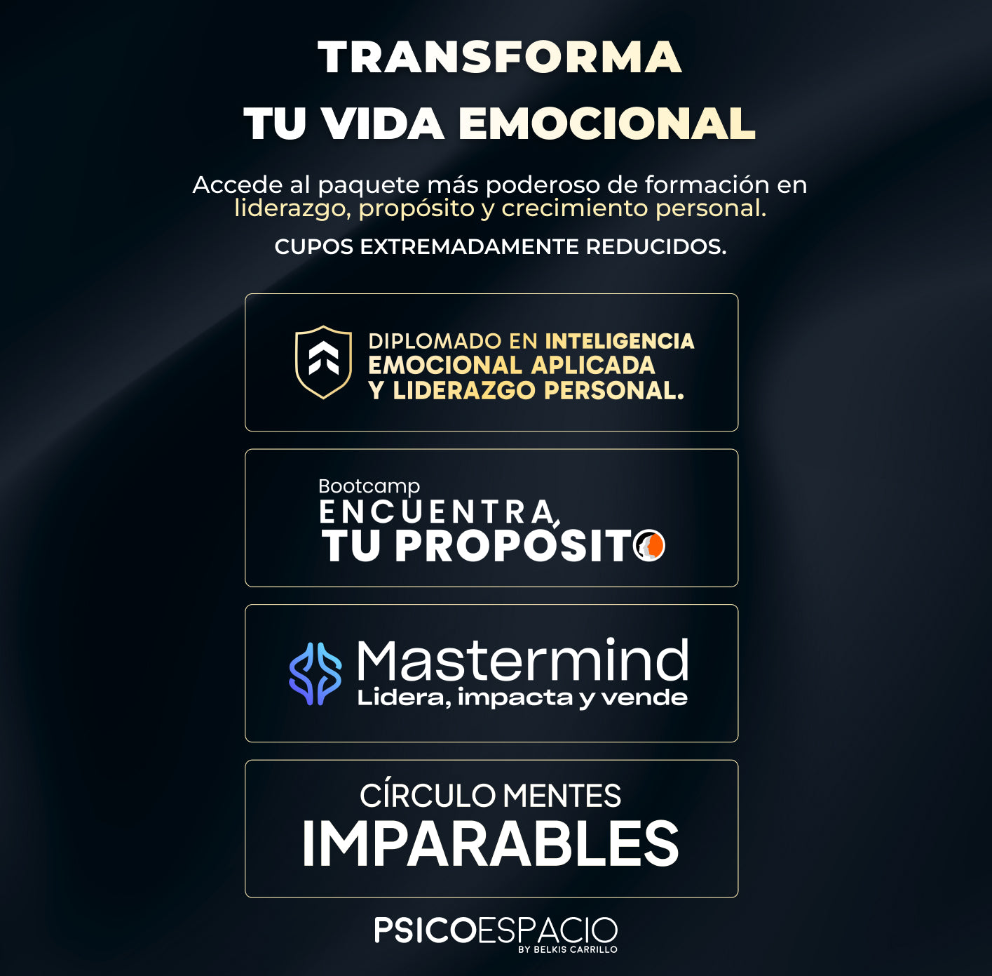 Academia Psicoespacio Bronce